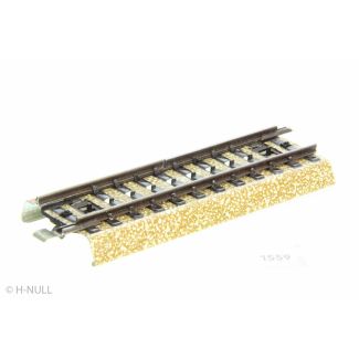 Schiene Bahnübergang